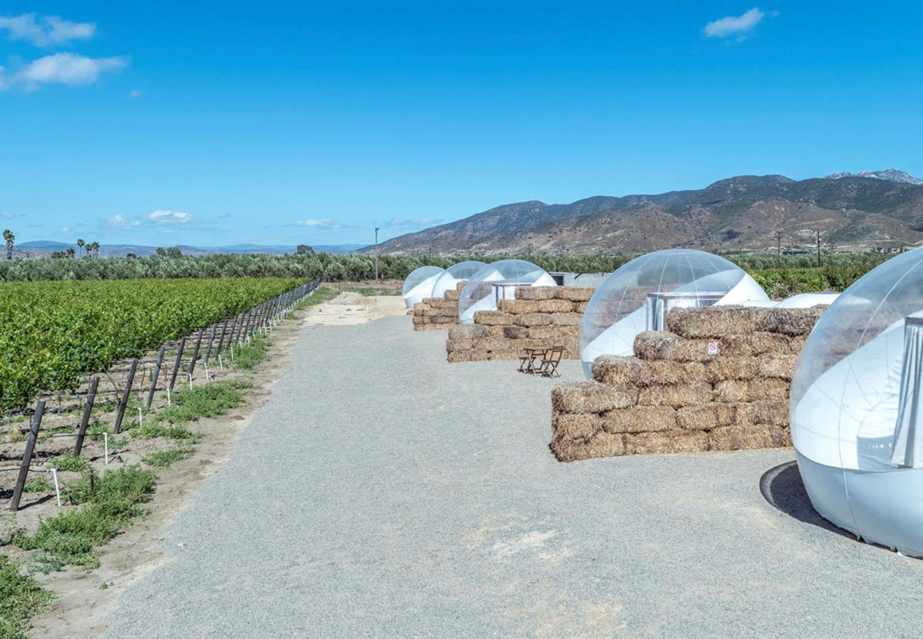 Campera Valle De Guadalupe Ensenada Esterno foto